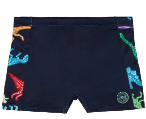 TRAJE DE BAÑO 10 AÑOS BRANDILI SUNGA