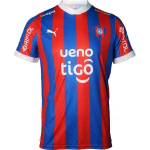 REMERA PUMA CERRO PORTEÑO 2024 TALLE S