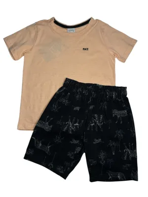 CONJUNTO ALAKAZOO 45957 4 años