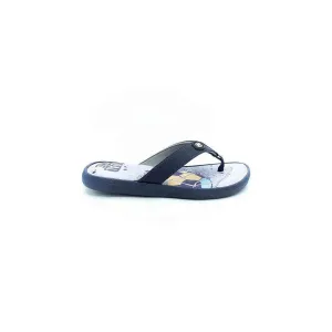 ZAPATILLA MOLEKINHO 2415.100 NRO 35,36